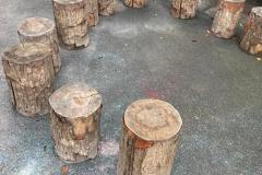 IMG-20220906-WA0067